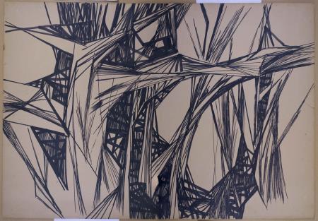 <b>[Vegeta��o]</b>